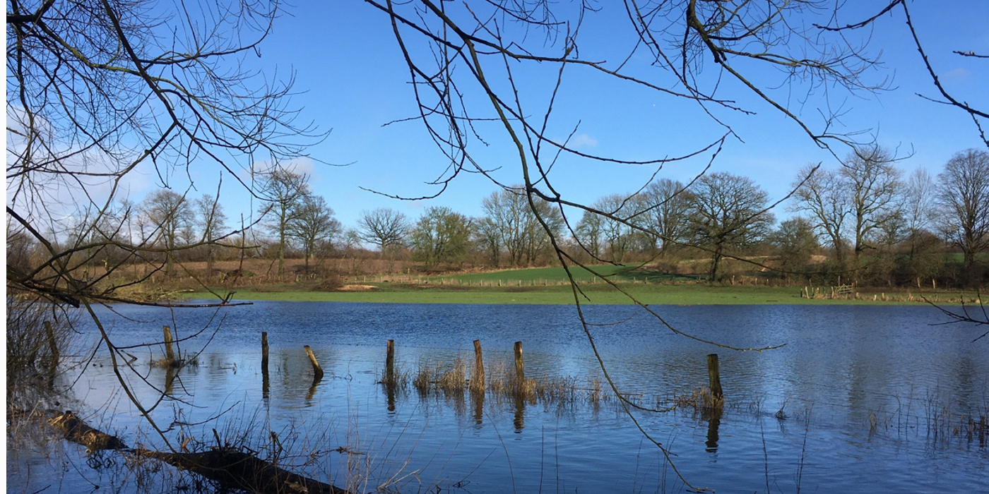 1 bild ak wasser schmal