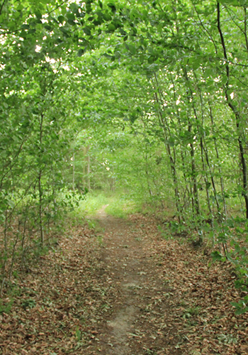 1 bild tagesseminar 350x500px