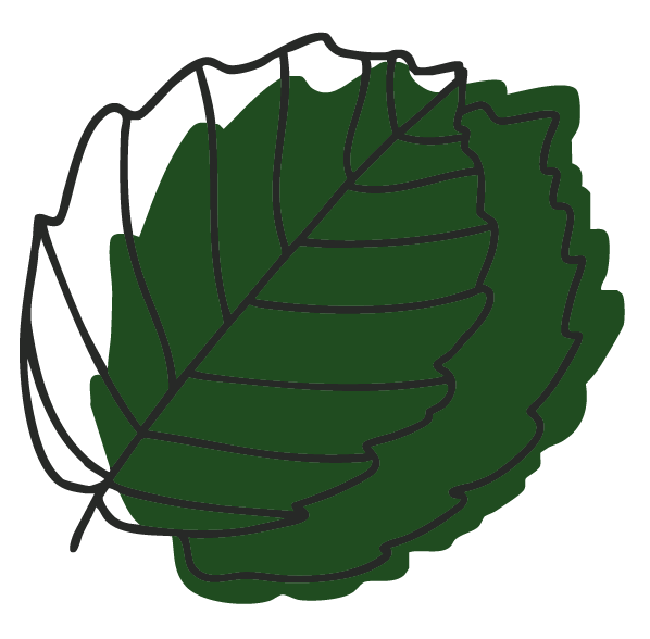 logo icon website farbig dunkelgrün