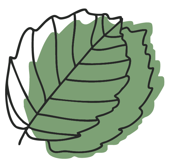 logo icon website farbig grün