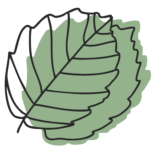 logo icon website farbig hellgrün