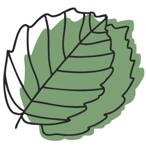 logo icon website farbig grün